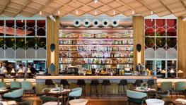 Imagen principal de la ficha